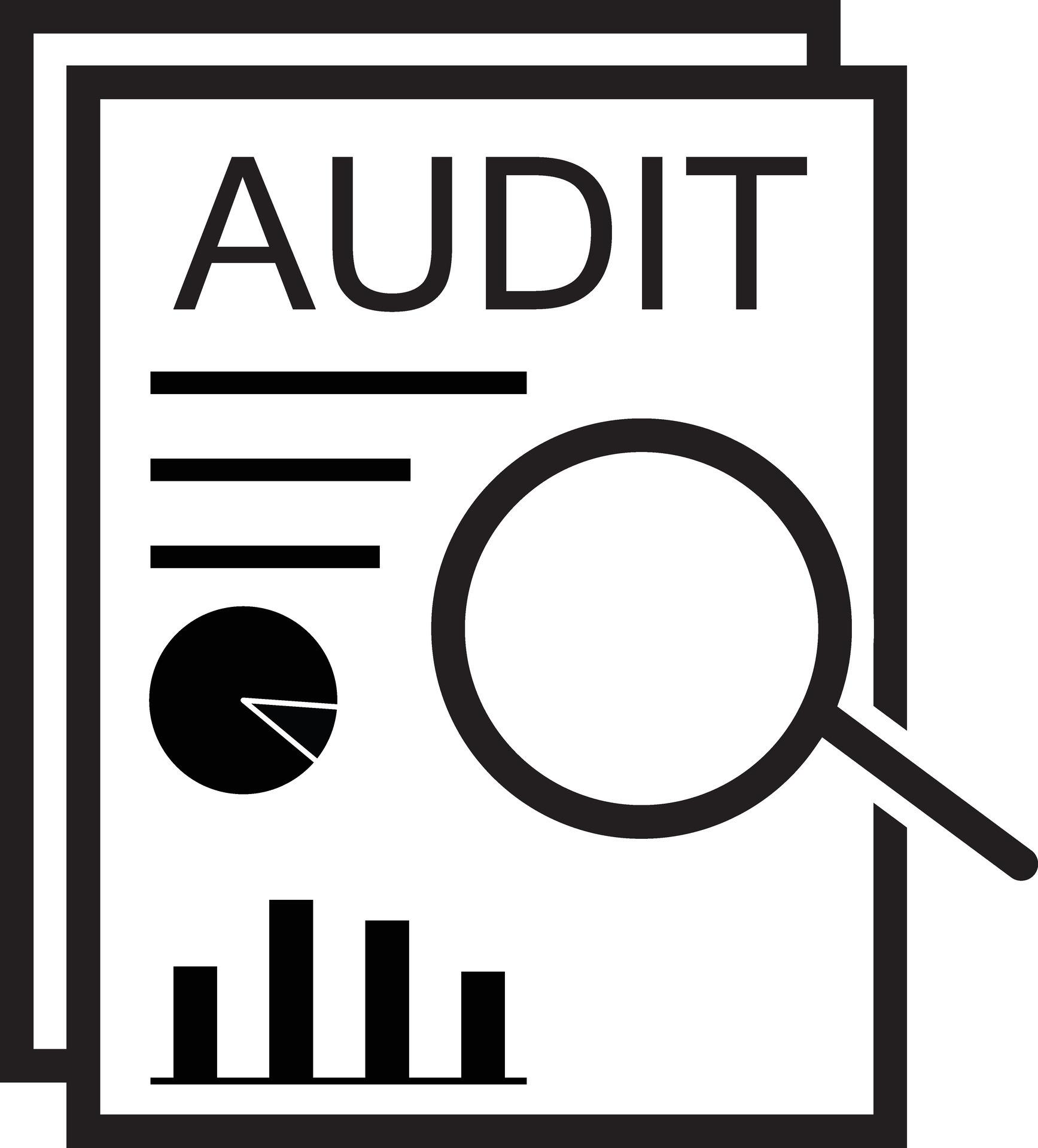 BA Hons Business Managment (GW) 17 Audit