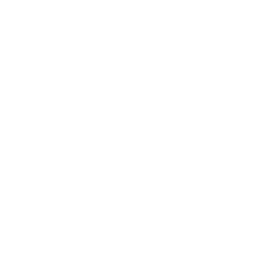 Video player